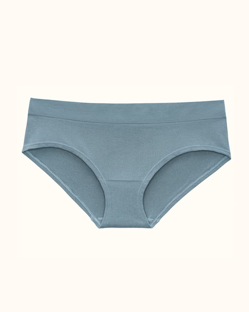 Front of a size LG Form Seamless Hipster in gray-mist by ThirdLove. | dia_product_style_image_id:251353